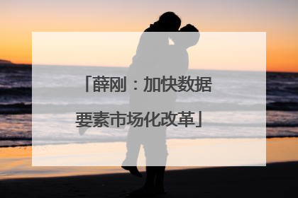 薛刚：加快数据要素市场化改革