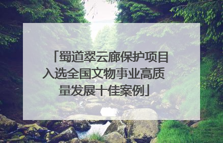 蜀道翠云廊保护项目入选全国文物事业高质量发展十佳案例
