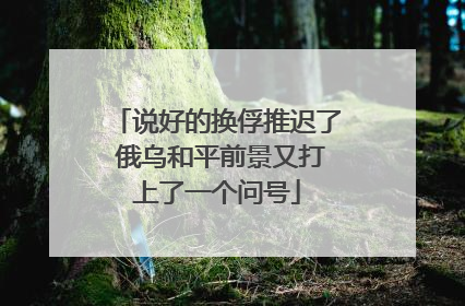 说好的换俘推迟了 俄乌和平前景又打上了一个问号