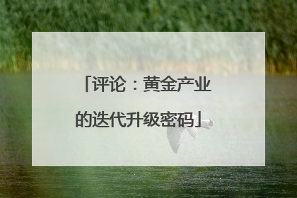 评论：黄金产业的迭代升级密码