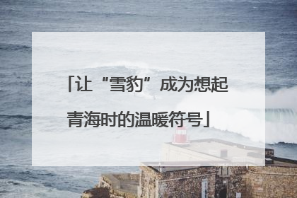 让“雪豹”成为想起青海时的温暖符号
