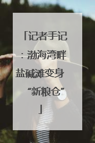 记者手记：渤海湾畔盐碱滩变身“新粮仓”