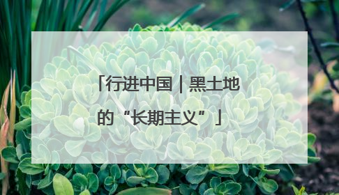 行进中国｜黑土地的“长期主义”