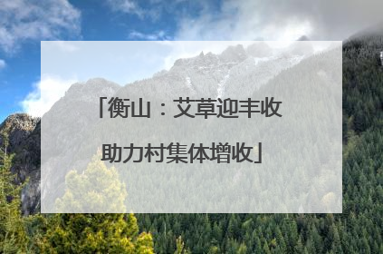 衡山：艾草迎丰收 助力村集体增收