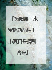 衡阳县：水蜜桃新品种上市夏日采摘引客来