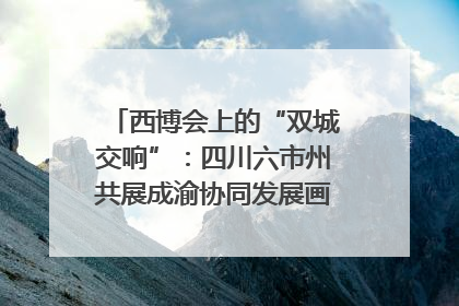 西博会上的“双城交响”：四川六市州共展成渝协同发展画卷｜西博视界