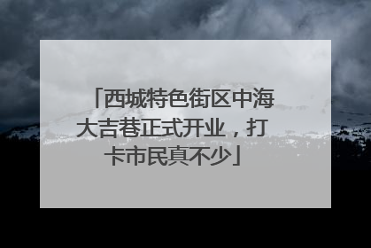 西城特色街区中海大吉巷正式开业，打卡市民真不少