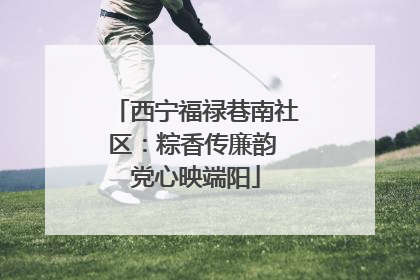 西宁福禄巷南社区：粽香传廉韵 党心映端阳