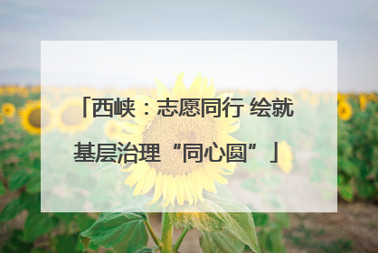 西峡：志愿同行 绘就基层治理“同心圆”