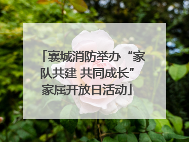 襄城消防举办“家队共建 共同成长”家属开放日活动