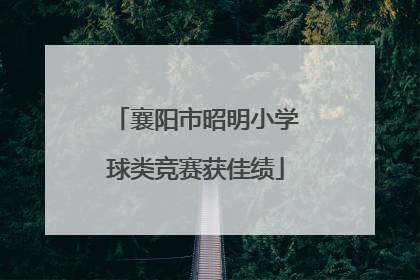 襄阳市昭明小学球类竞赛获佳绩