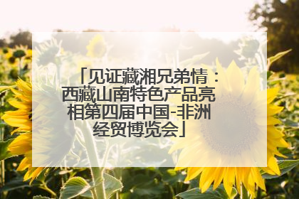 见证藏湘兄弟情：西藏山南特色产品亮相第四届中国-非洲经贸博览会