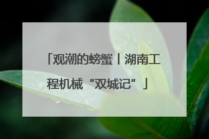 观潮的螃蟹丨湖南工程机械“双城记”