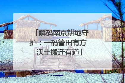 解码南京耕地守护：一码管田有方 沃土搬迁有道