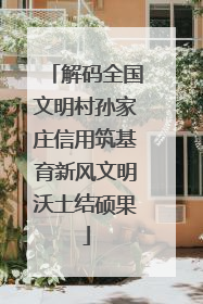 解码全国文明村孙家庄信用筑基育新风文明沃土结硕果