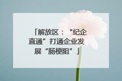 解放区：“纪企直通”打通企业发展“肠梗阻”