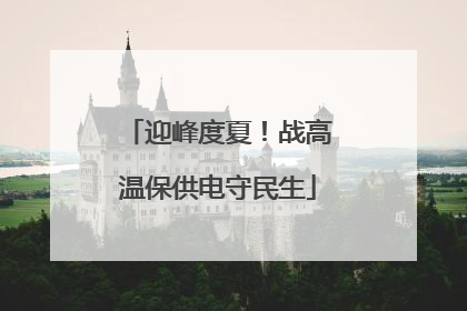 迎峰度夏！战高温保供电守民生