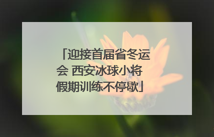 迎接首届省冬运会 西安冰球小将假期训练不停歇