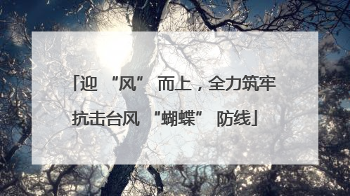 迎 “风” 而上，全力筑牢抗击台风 “蝴蝶” 防线