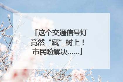 这个交通信号灯竟然“藏”树上！市民盼解决……