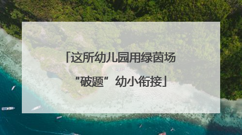 这所幼儿园用绿茵场“破题”幼小衔接