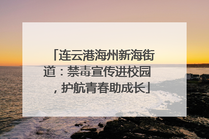 连云港海州新海街道：禁毒宣传进校园，护航青春助成长