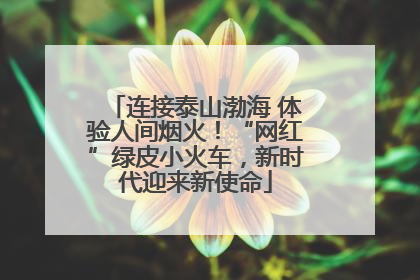 连接泰山渤海 体验人间烟火！“网红”绿皮小火车，新时代迎来新使命