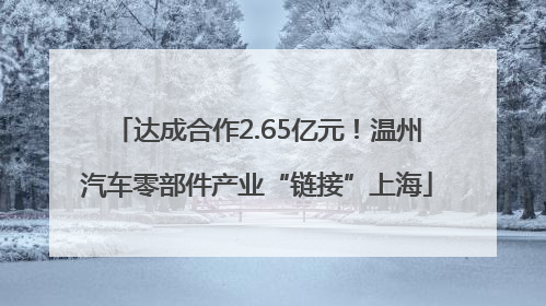 达成合作2.65亿元！温州汽车零部件产业“链接”上海