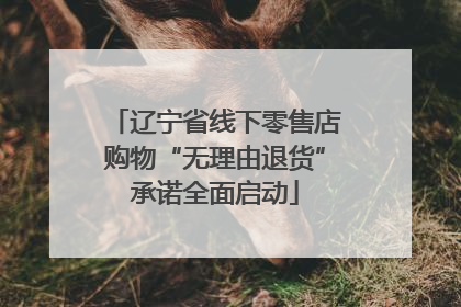 辽宁省线下零售店购物“无理由退货”承诺全面启动