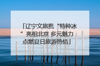 辽宁文旅携“特种冰”亮相北京 多元魅力点燃夏日旅游热情