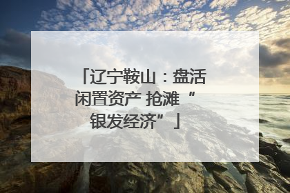 辽宁鞍山：盘活闲置资产 抢滩“银发经济”