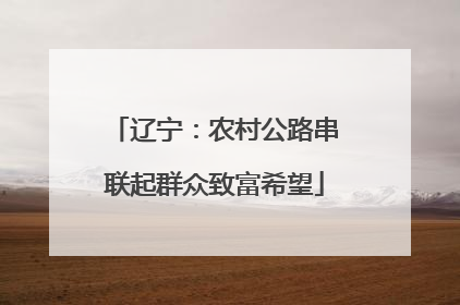 辽宁：农村公路串联起群众致富希望