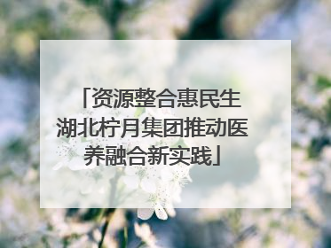 资源整合惠民生 湖北柠月集团推动医养融合新实践