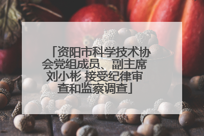 资阳市科学技术协会党组成员、副主席刘小彬 接受纪律审查和监察调查