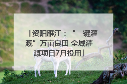 资阳雁江：“一键灌溉”万亩良田 全域灌溉项目7月投用