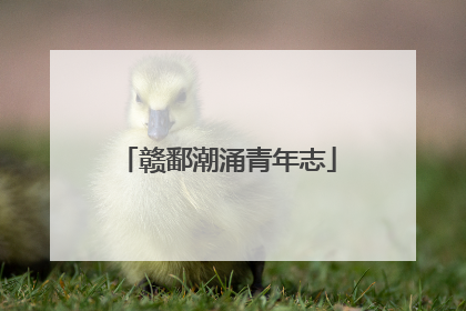 赣鄱潮涌青年志