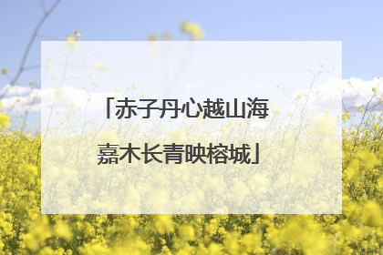 赤子丹心越山海 嘉木长青映榕城