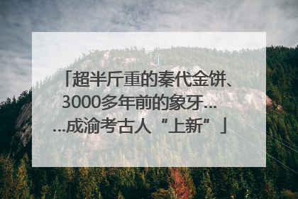 超半斤重的秦代金饼、3000多年前的象牙……成渝考古人“上新”