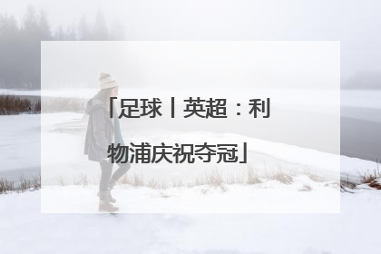 足球丨英超：利物浦庆祝夺冠