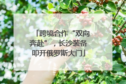 跨境合作“双向奔赴”，长沙装备叩开俄罗斯大门