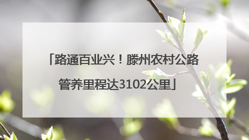 路通百业兴！滕州农村公路管养里程达3102公里