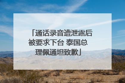 通话录音遭泄露后被要求下台 泰国总理佩通坦致歉