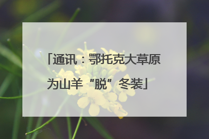 通讯：鄂托克大草原为山羊“脱”冬装