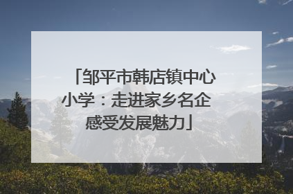 邹平市韩店镇中心小学：走进家乡名企 感受发展魅力