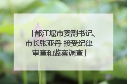 都江堰市委副书记、市长张亚丹 接受纪律审查和监察调查