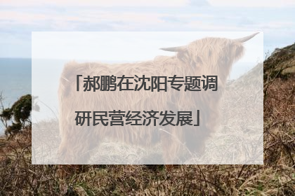 郝鹏在沈阳专题调研民营经济发展