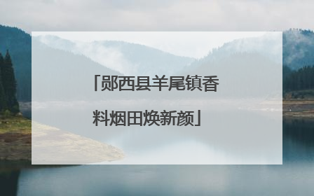 郧西县羊尾镇香料烟田焕新颜