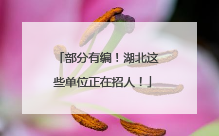 部分有编！湖北这些单位正在招人！