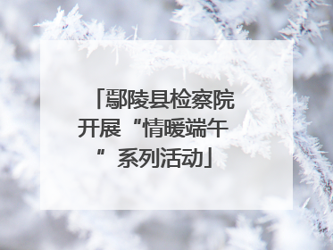 鄢陵县检察院开展“情暖端午”系列活动