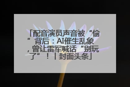 配音演员声音被“偷”背后：AI催生乱象，曾让雷军喊话“别玩了”！丨封面头条